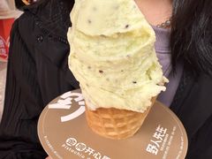 -野人先生现做冰淇淋(北京王府井东方新天地店)