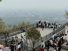 -紫金山山顶公园