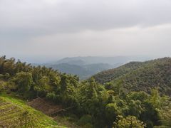 -长沙黑麋峰国家森林公园