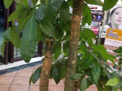 -杨家火锅(国美店)