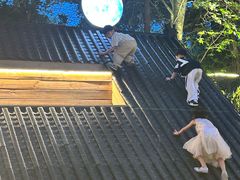 -十亩森林