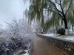 -丁香湖公园
