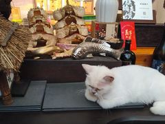 -谷咖啡·鲜花绿植花园餐厅