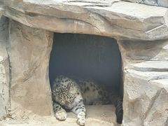 -青藏高原野生动物园