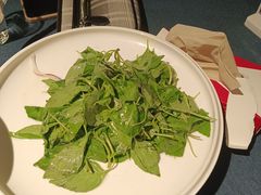 -金狮麟·新豫菜(金码大厦店)