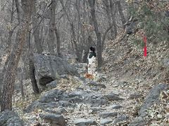 -北京鹫峰国家森林公园