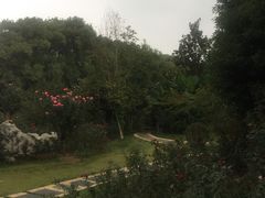 -东湖落雁景区