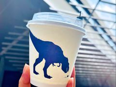 -大小咖啡 BigSmallCoffee(麦子店)