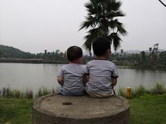 -枫香湖儿童公园