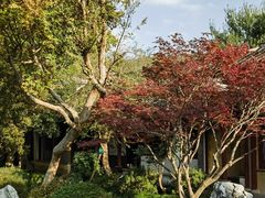 -西园戒幢律寺