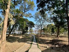 -福建鲤鱼洲酒店