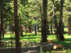 -秦皇岛野生动物园
