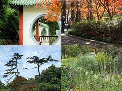 -中山公园