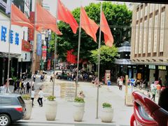 -广州都市观光巴士(粤陶巴)