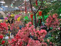 -双季花艺园艺市场(浦东店)