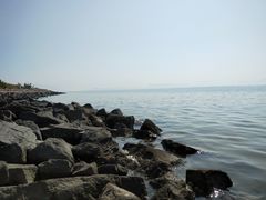 -深圳湾公园(南山区)