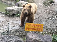 -宁波野生动物园