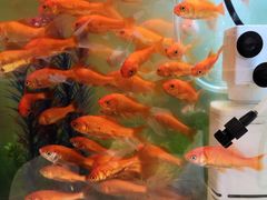 -合和大唐足道·泰式·SPA (凤城五路店)