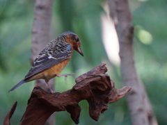 -苏州河梦清园环保主题公园