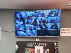 -宠物家(双井店)