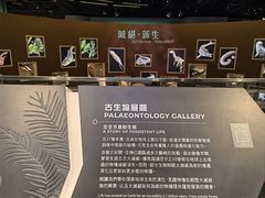 -香港科学馆