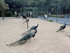 -杭州野生动物世界