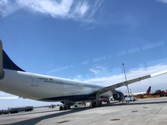 -约翰·菲茨杰拉德·肯尼迪国际机场