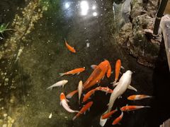 -聚缘堂·海鲜私房菜(松岭路店)