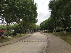 -上海第二工业大学(金海路校区)