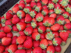 -南坛综合农贸市场