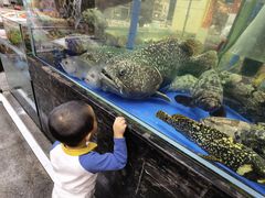 -东江海鲜酒家(艺都分店)