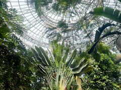 -郑州植物园