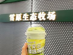 -茉酸奶(春熙路店)