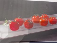 -全聚德(双井店)