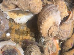 -龙宴海鲜城(经中路店)