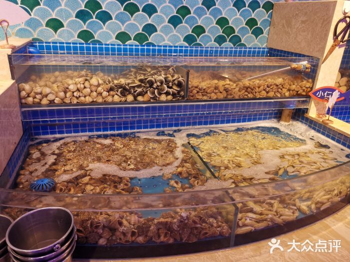 乔哥铭洋海鲜自助(皇城恒隆广场店)水产区图片