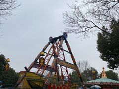 -合肥野生动物园