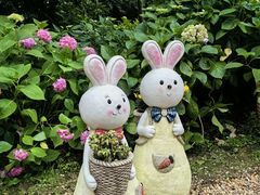 -上海共青森林公园