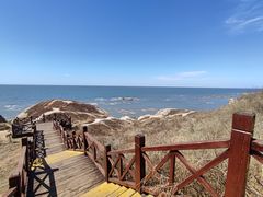 -韩记海鲜饺子(隆仁世家店)