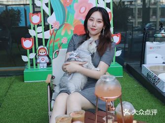 平时经常去HuloHulo喝咖啡，现在才知道它是宠物