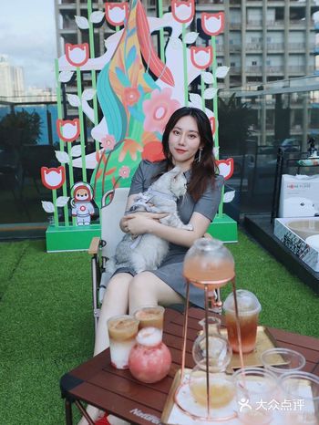 平时经常去HuloHulo喝咖啡，现在才知道它是宠物