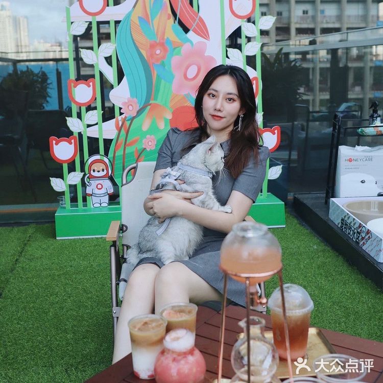 深圳宠物友好门店🐱