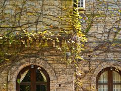 -得丘礼享谷·玉兰苑