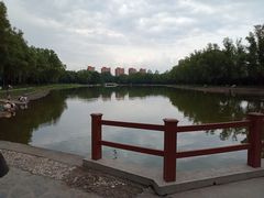 -森林公园(尖草坪区)