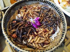-醉云喃