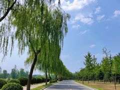 -洨河生态公园