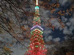 -东京塔海贼王主题公园
