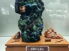 -甘肃地质博物馆