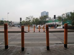 -银湖山郊野公园-相思林