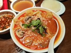 -丝恋丝娃娃(逸天城国贸店)